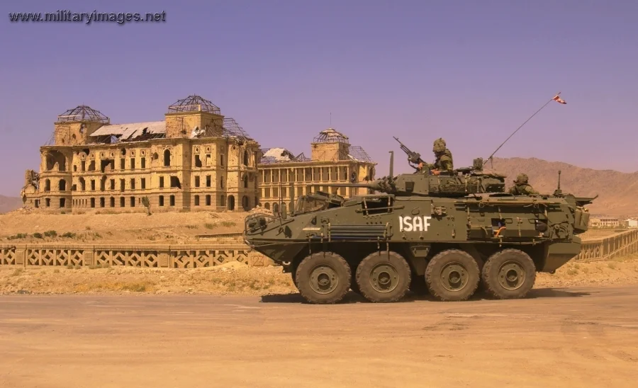 Canadian soldiers in a LAV III