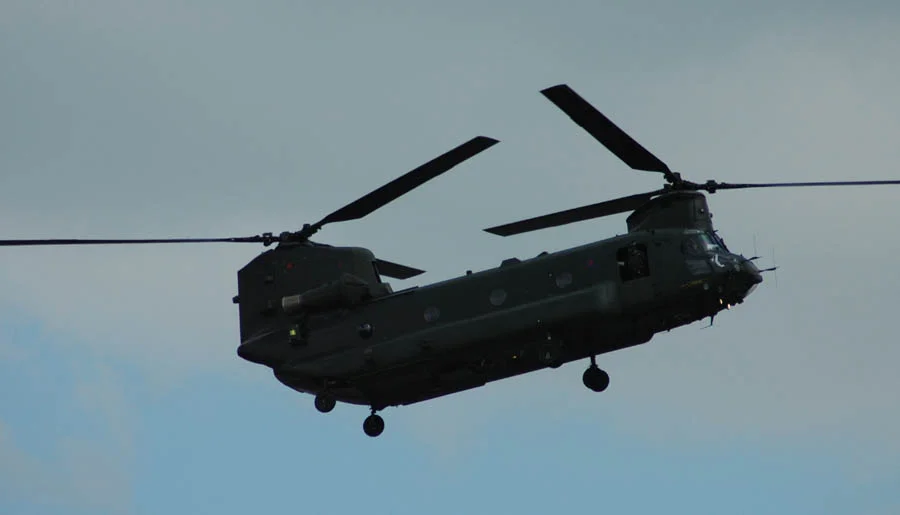 Chinook