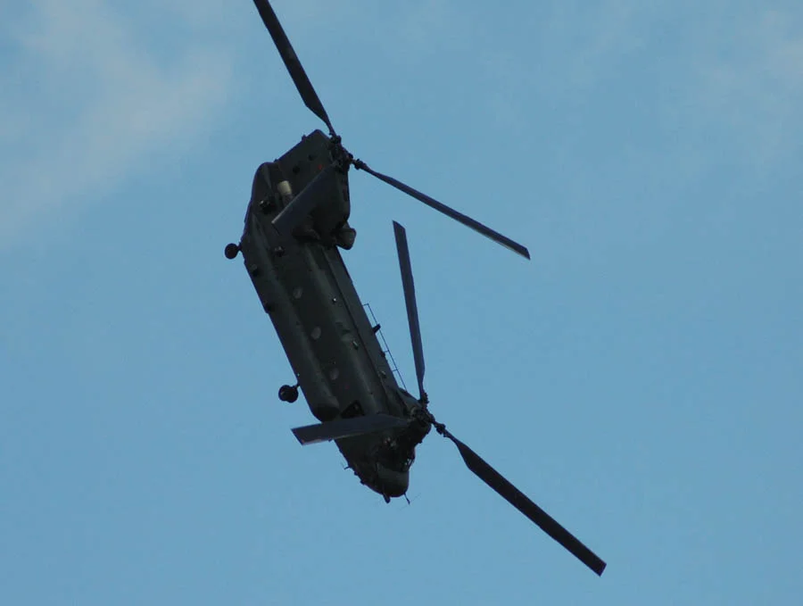 Chinook