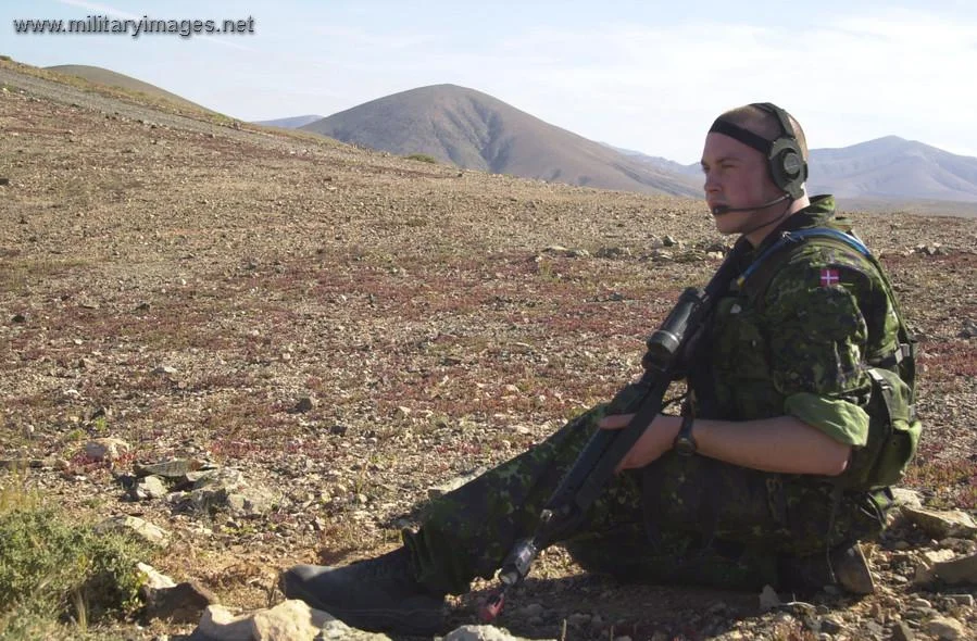 Danish Recce soldier on lookout in the exercise area