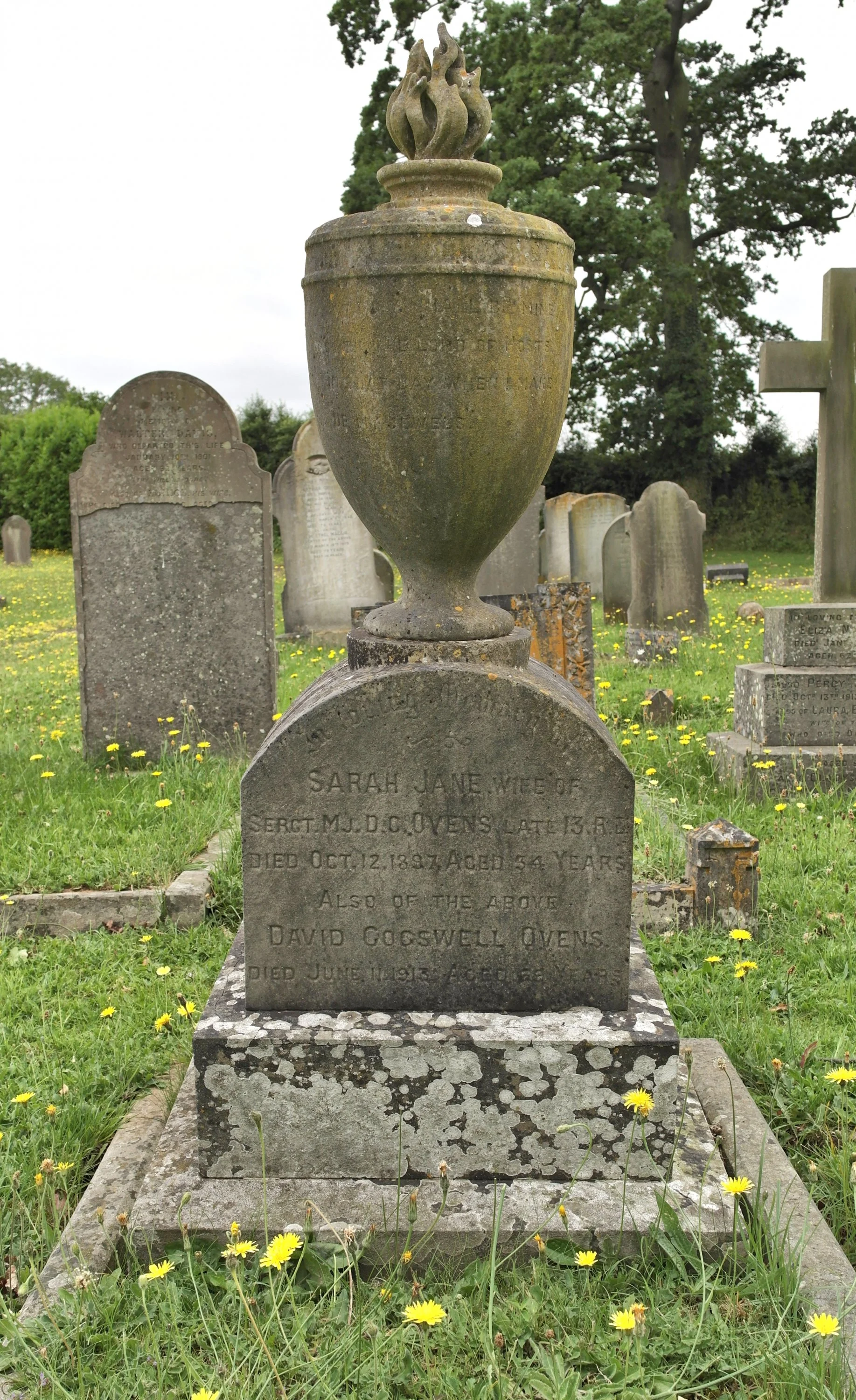 David Cogswell OVENS