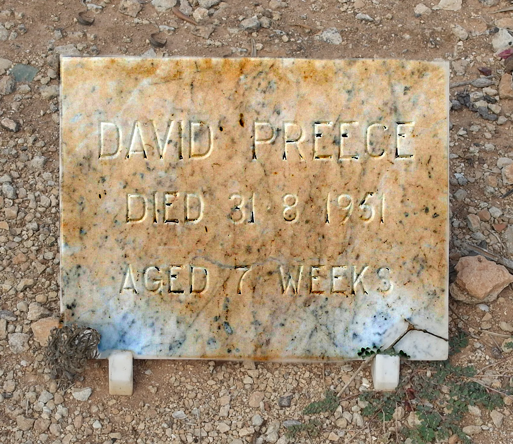 DAVID PREECE