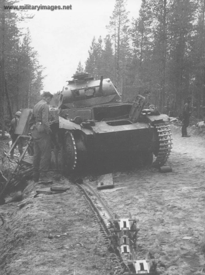 Destroyed Pz.Kpfw II on the road