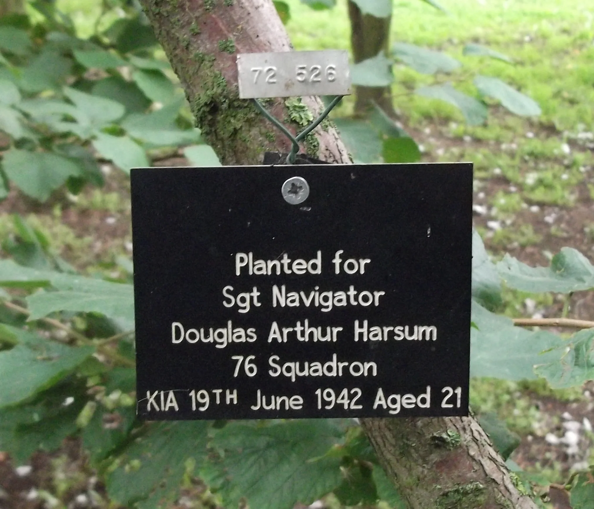 Douglas Arthur HARSUM.