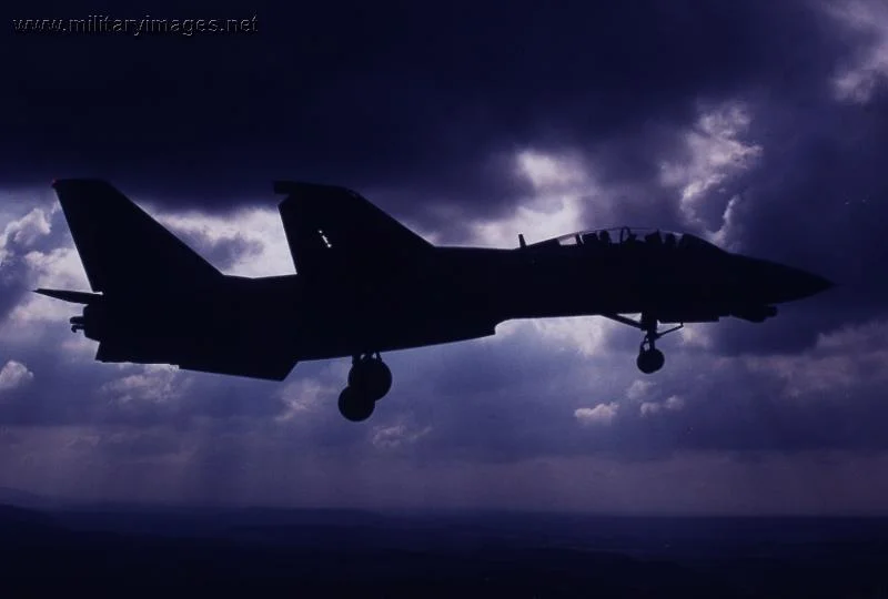 F-14 Tomcat against the sky