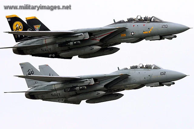 F-14D's Tomcats