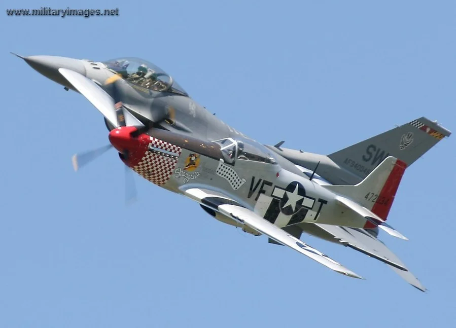 F16_P51_2006