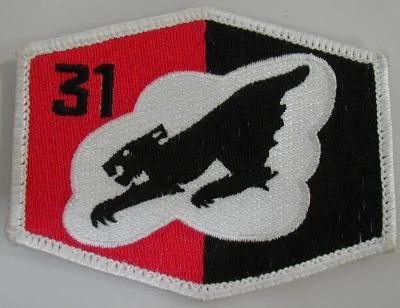 Fighter Squadron 31