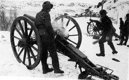 Finnish artillery