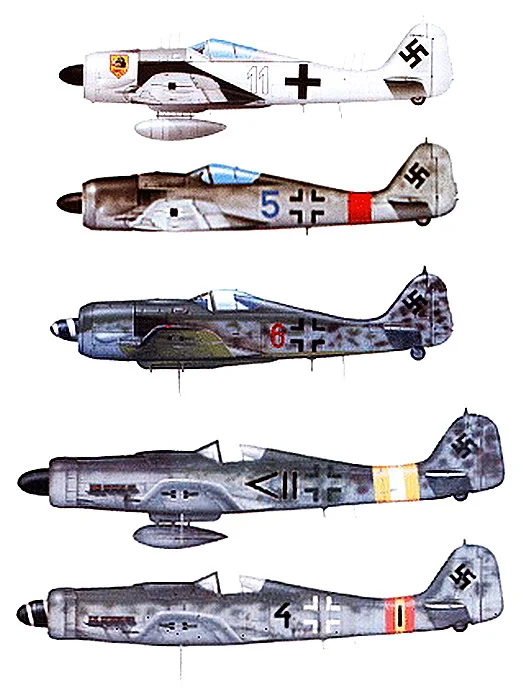 Focke Wulf variants