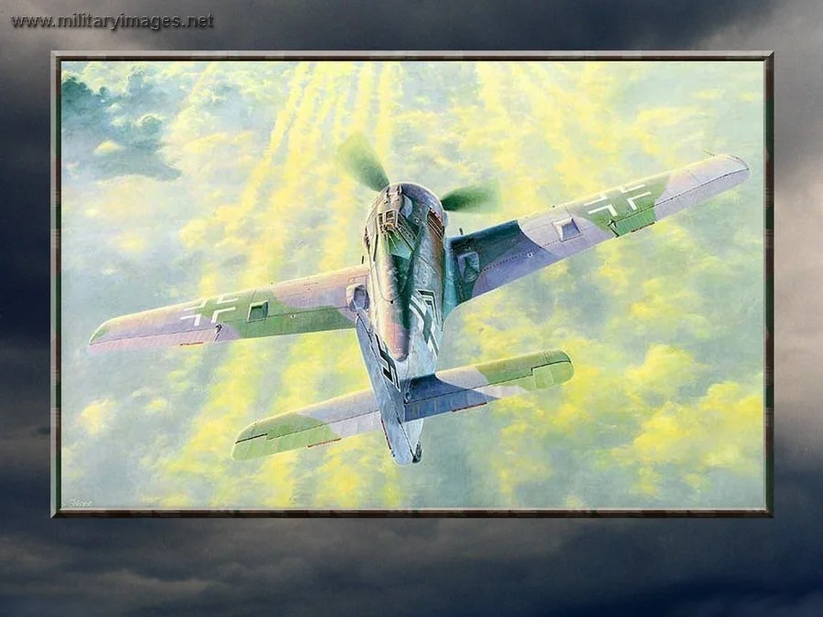 Fw190_Sky