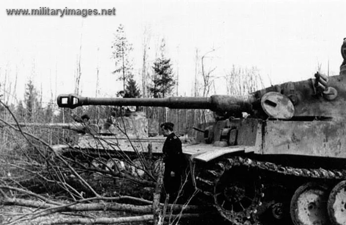 German armour | A Military Photo & Video Website