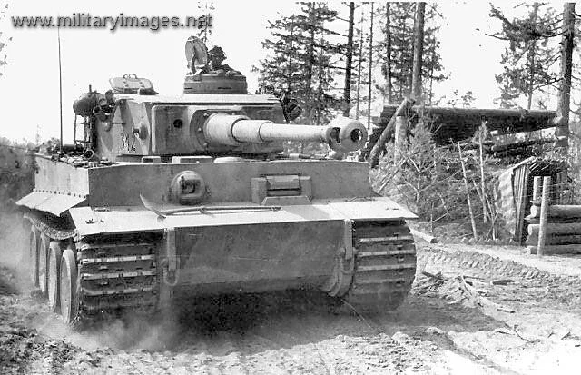 German Tiger Tank | A Military Photo & Video Website