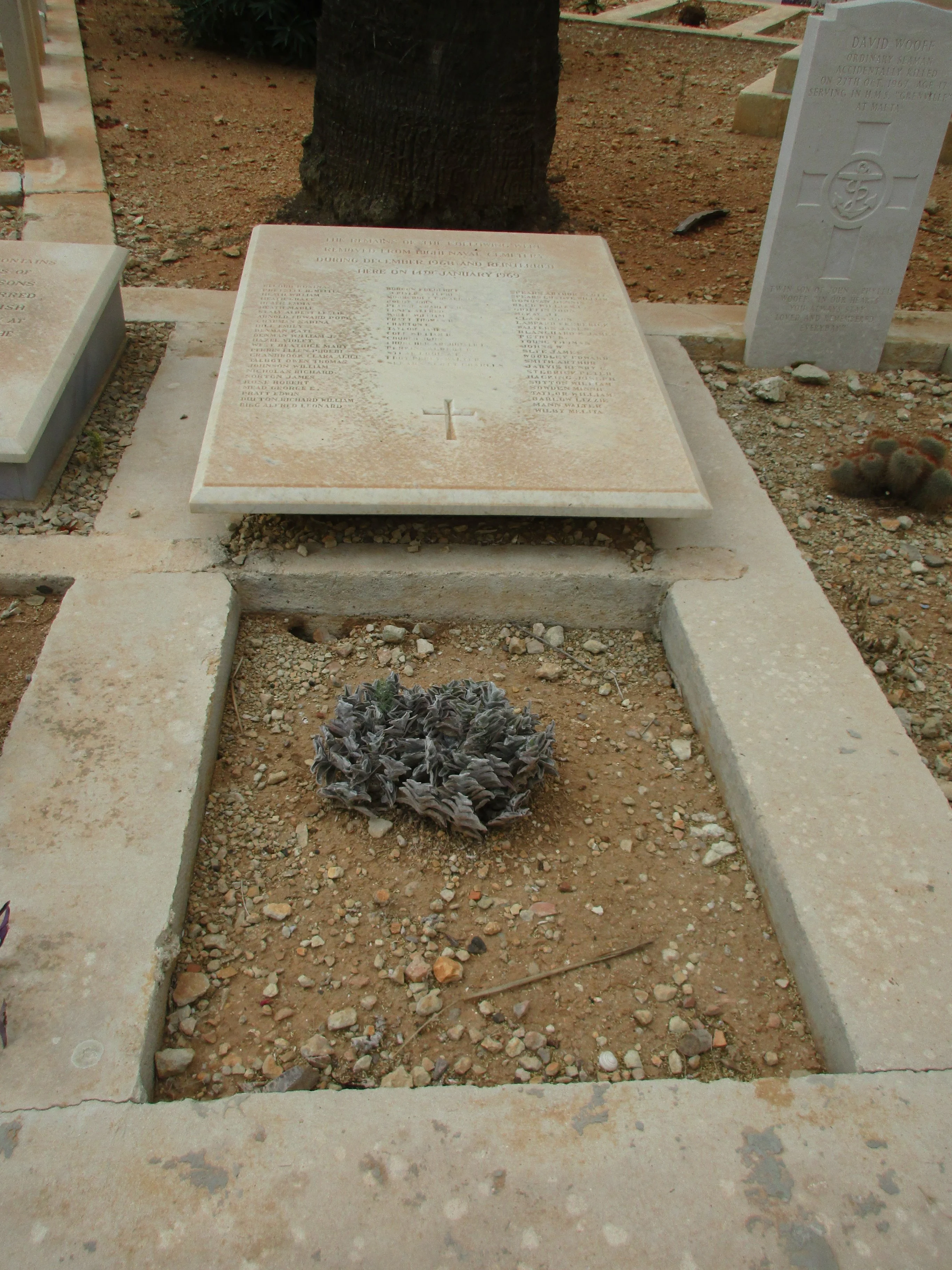 Grave D849 of reinternments from R.N. Cemetery Bighi