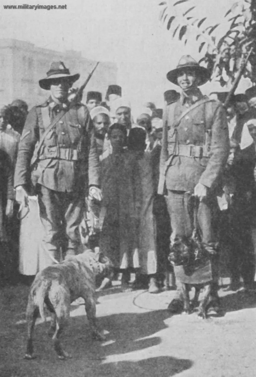 great-war-aussies-a-military-photos-video-website