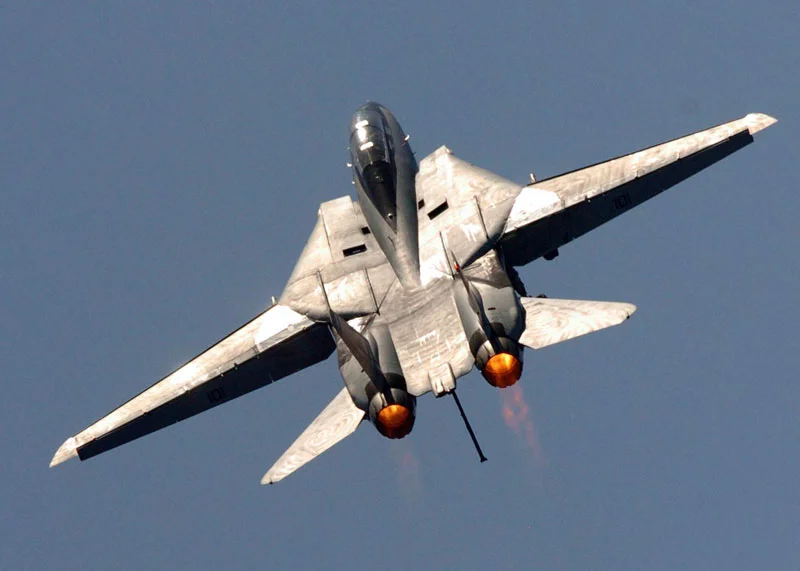 Grumman-f14-tomcat_3