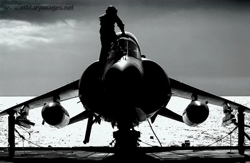 Harrier at Sea