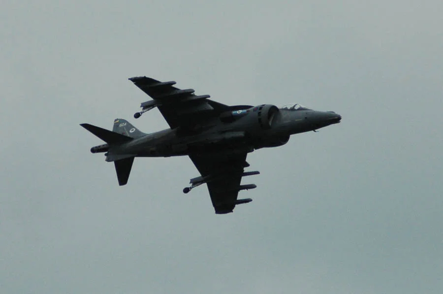 Harrier