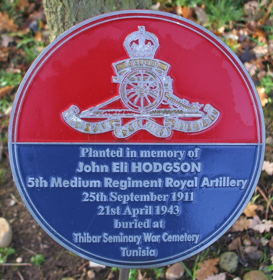 Hodgson John Eli