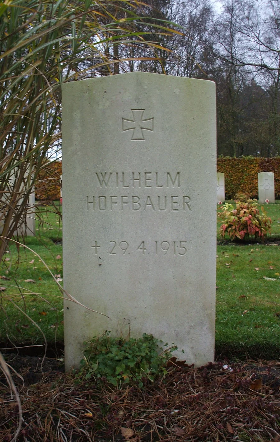 Hoffbauer, Wilhelm