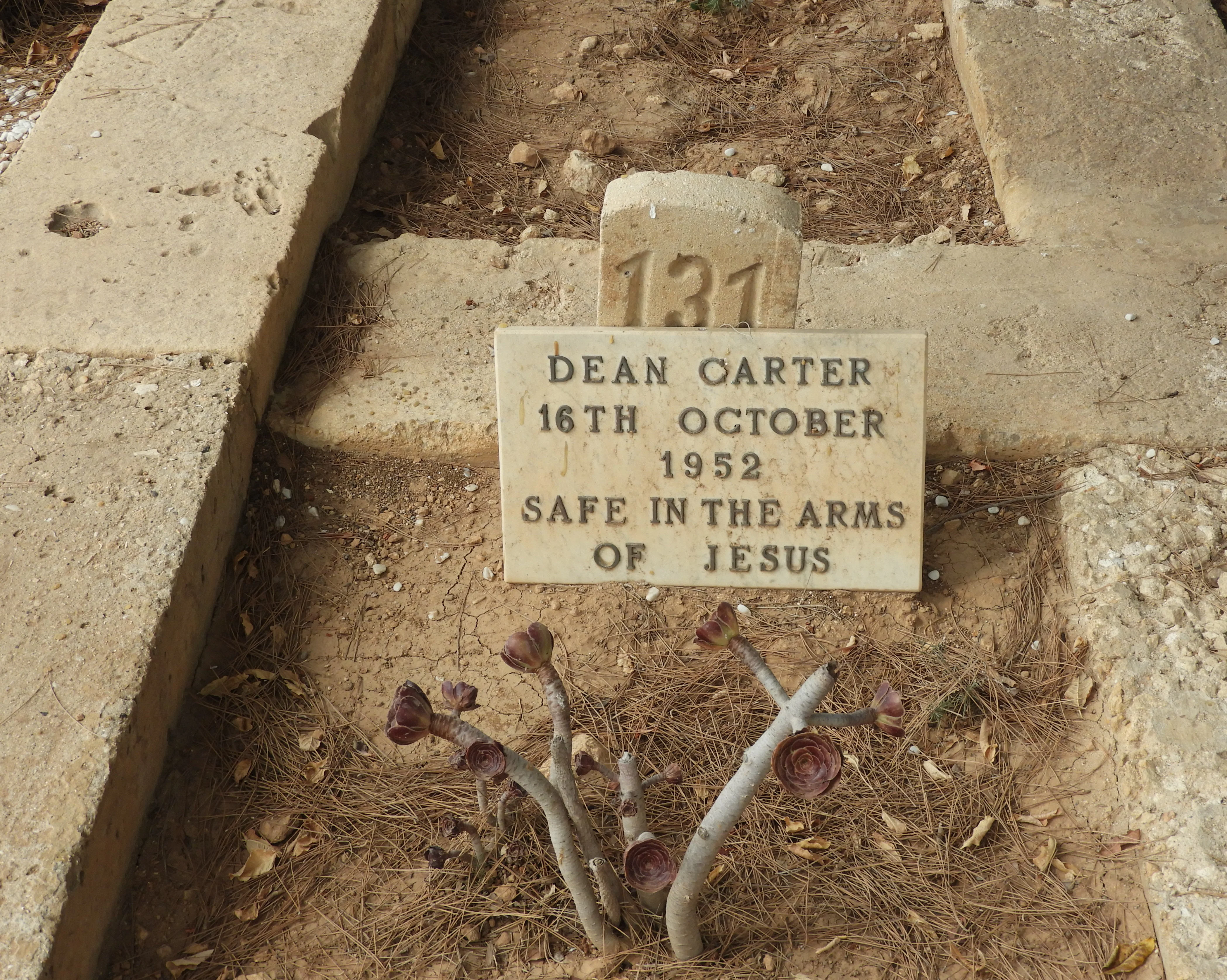 J131 Dean CARTER