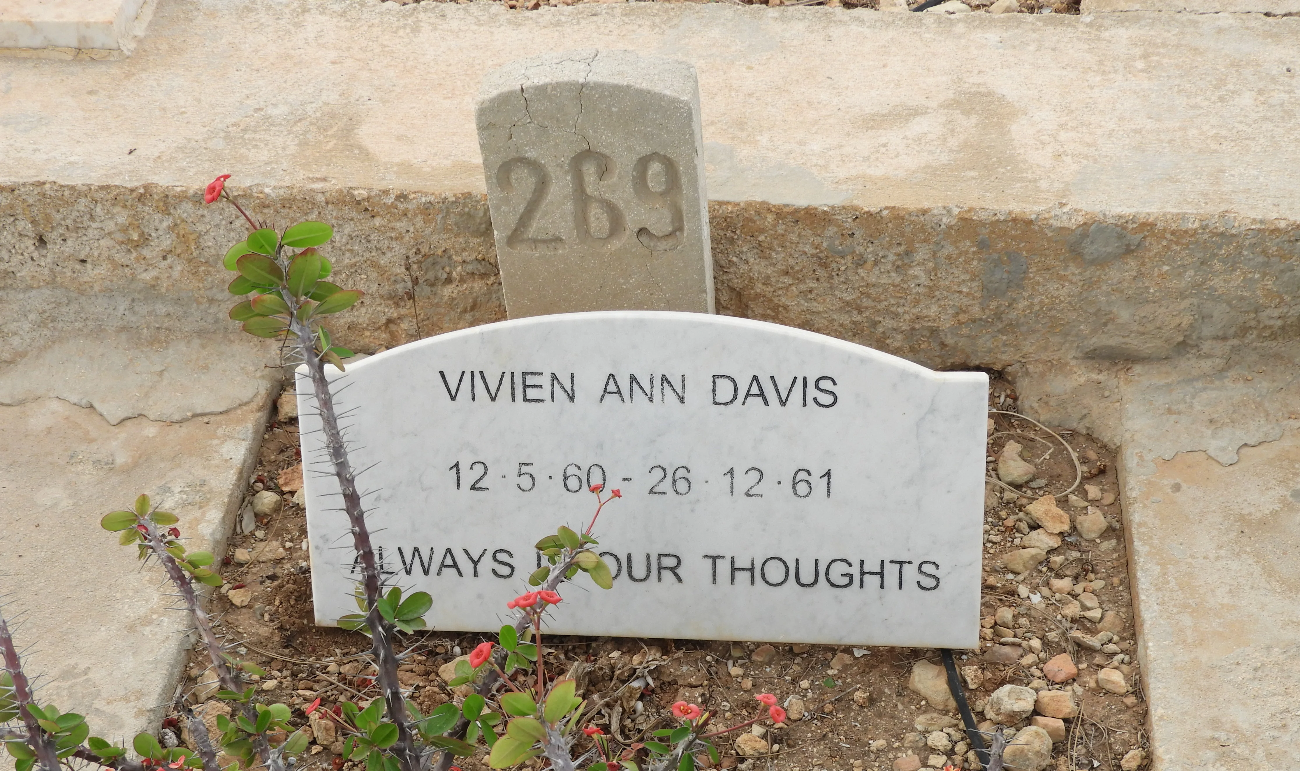 J269 Vivien Anne DAVIS