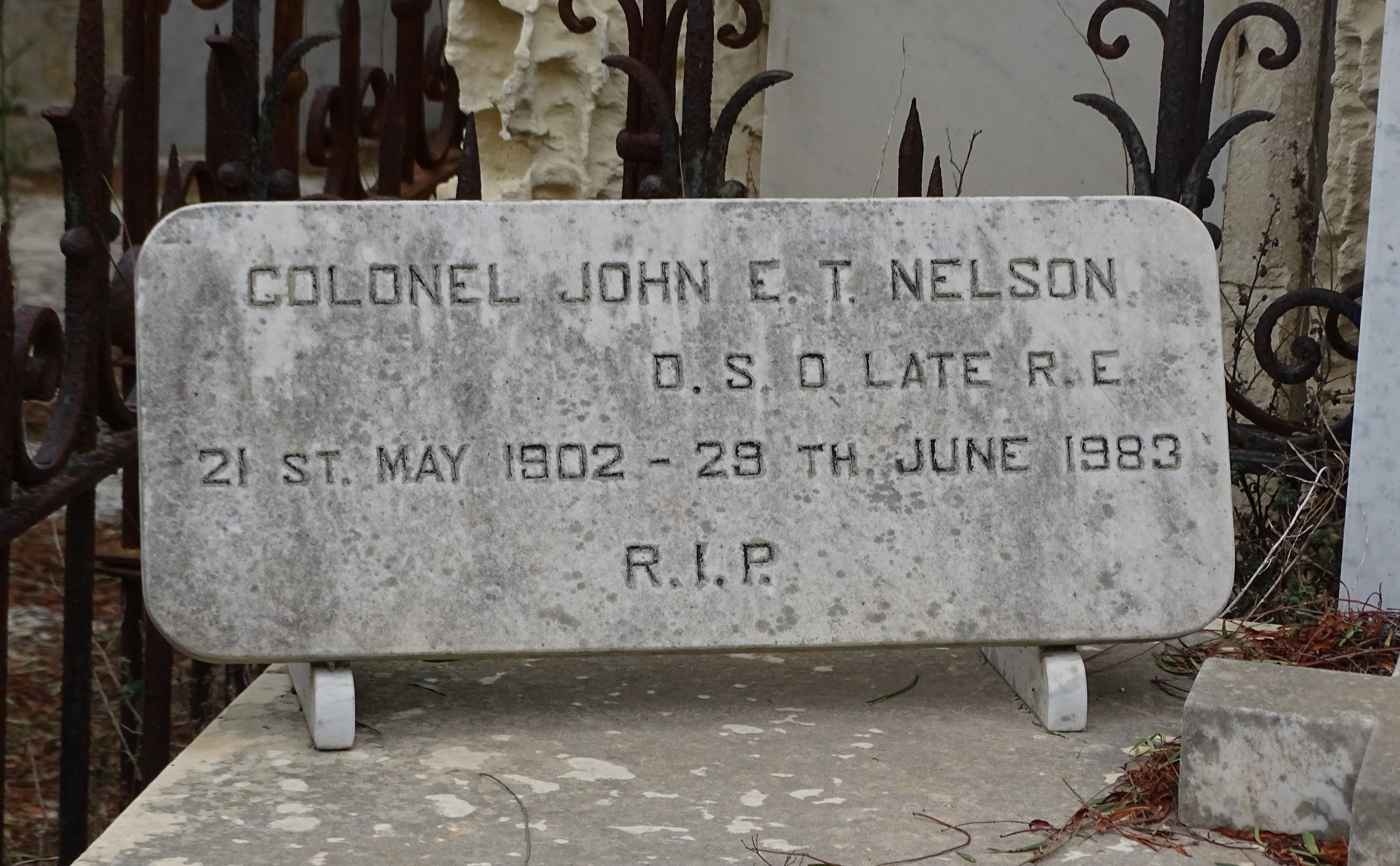 John Edward Toole NELSON  DSO  (2)