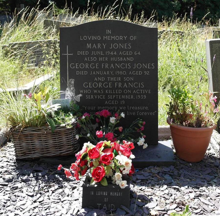 Jones, George Francis.