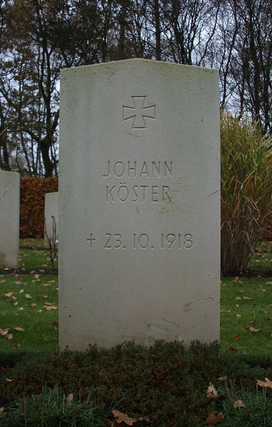 Koster, Johann