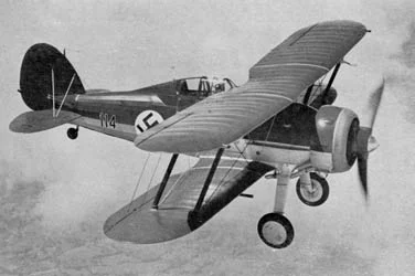 Latvian Gloster Gladiator