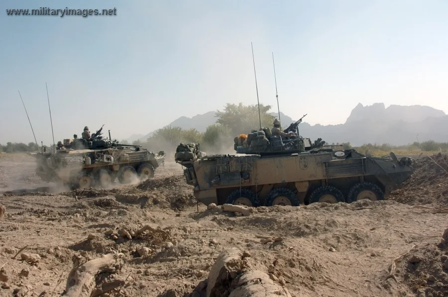 LAV III in the Panjwaii District west of Kandahar City