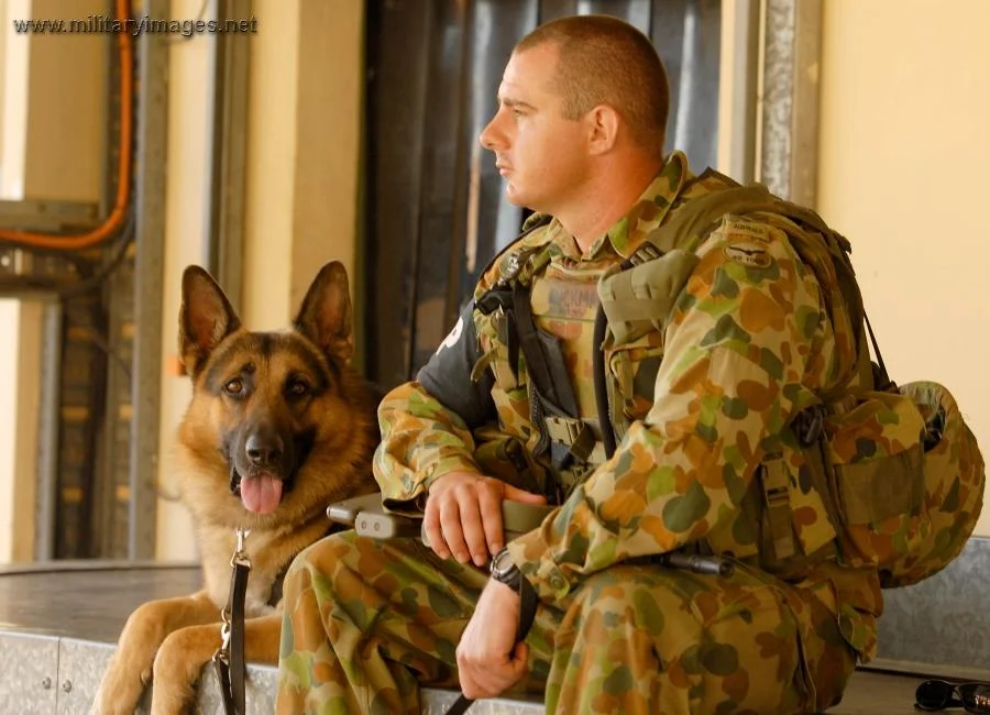 Leading Aircraftman Jay Lockman with his dog Max