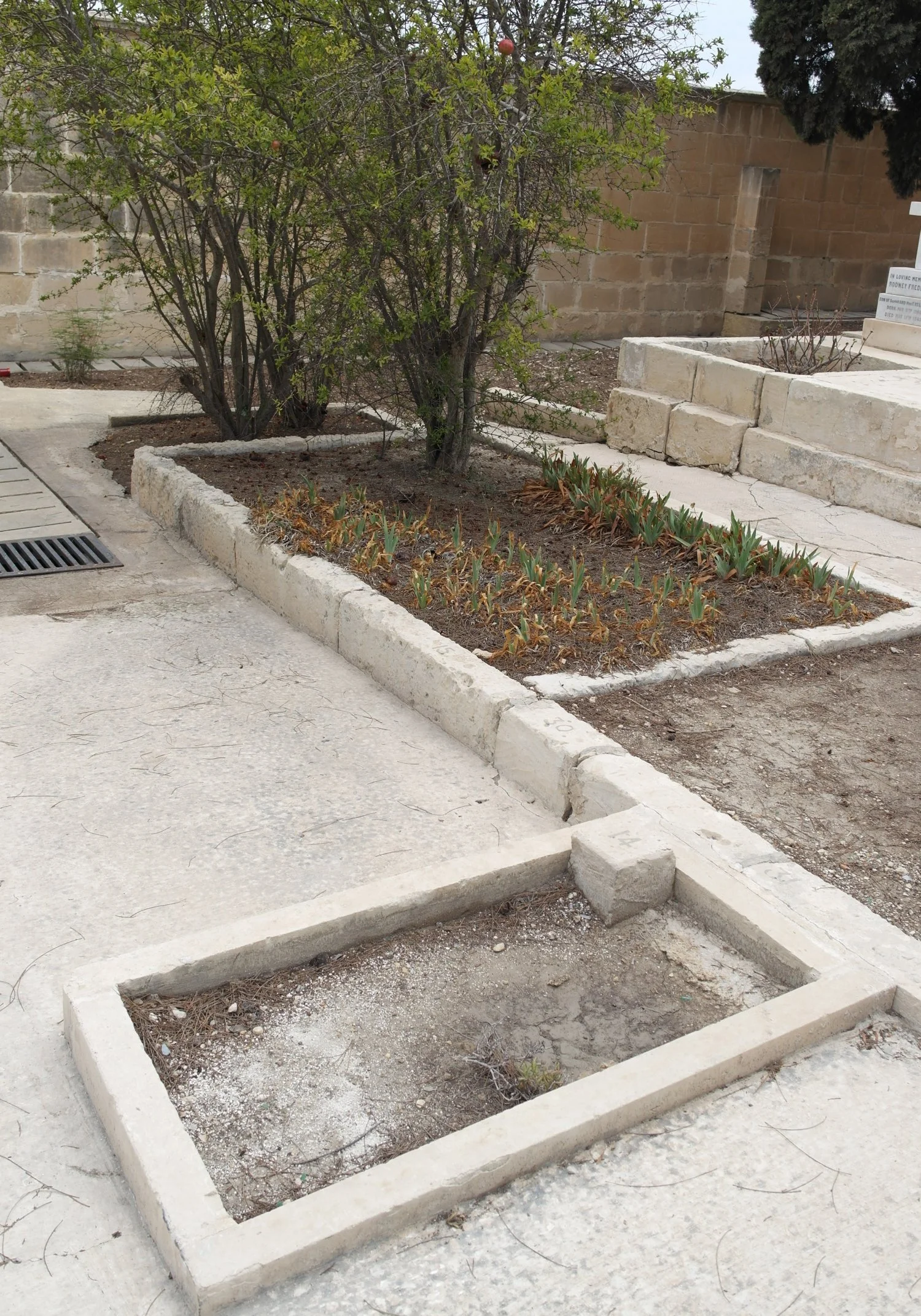 Location of  Grave 14 And Background  Graves 15 to 25 - Imtarfa Military Cemetery, Malta