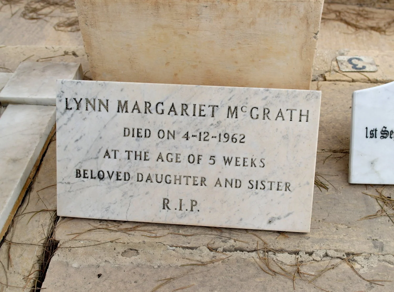 Lynn Margariet McGrath