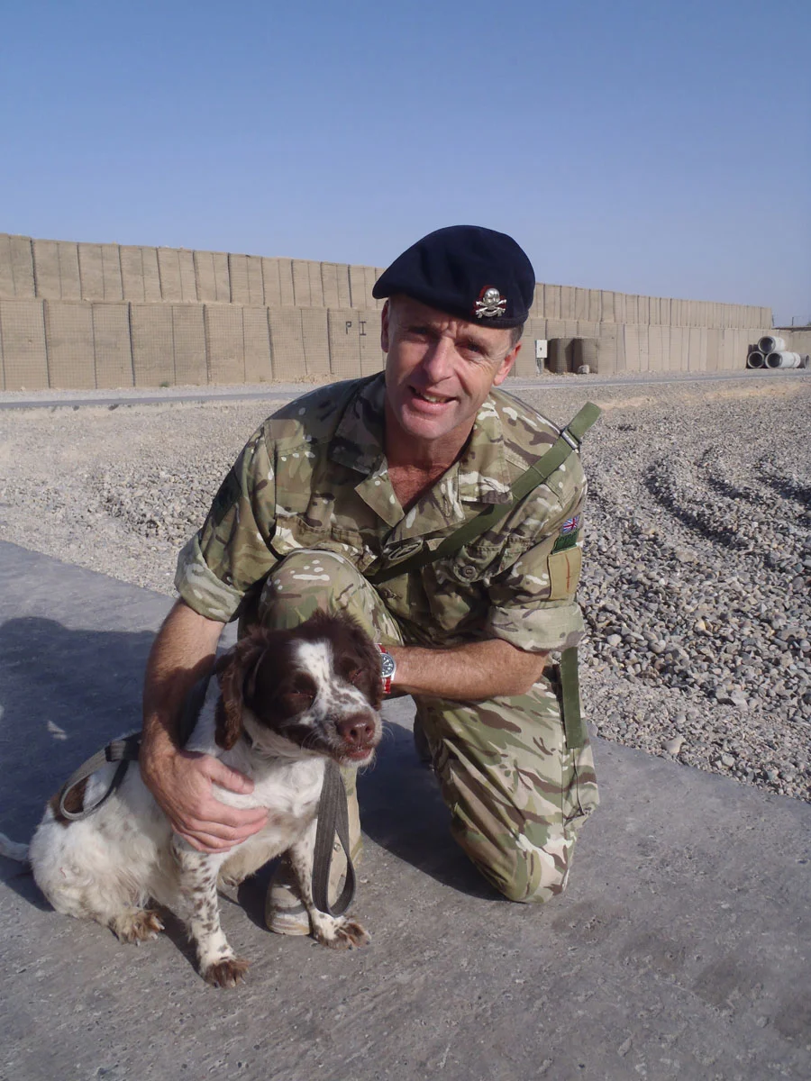 Misty the search dog