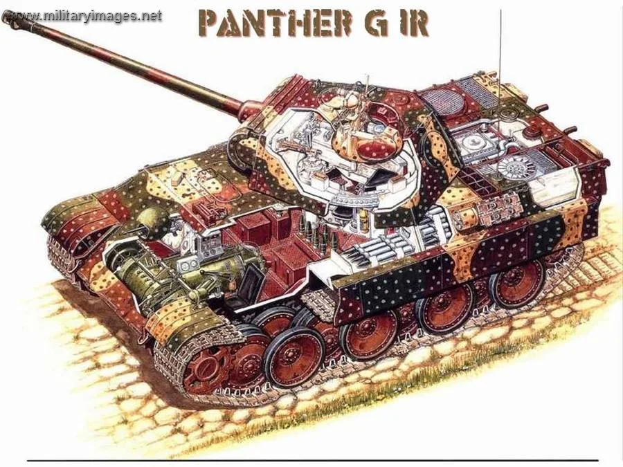 Panther IR Cutaway