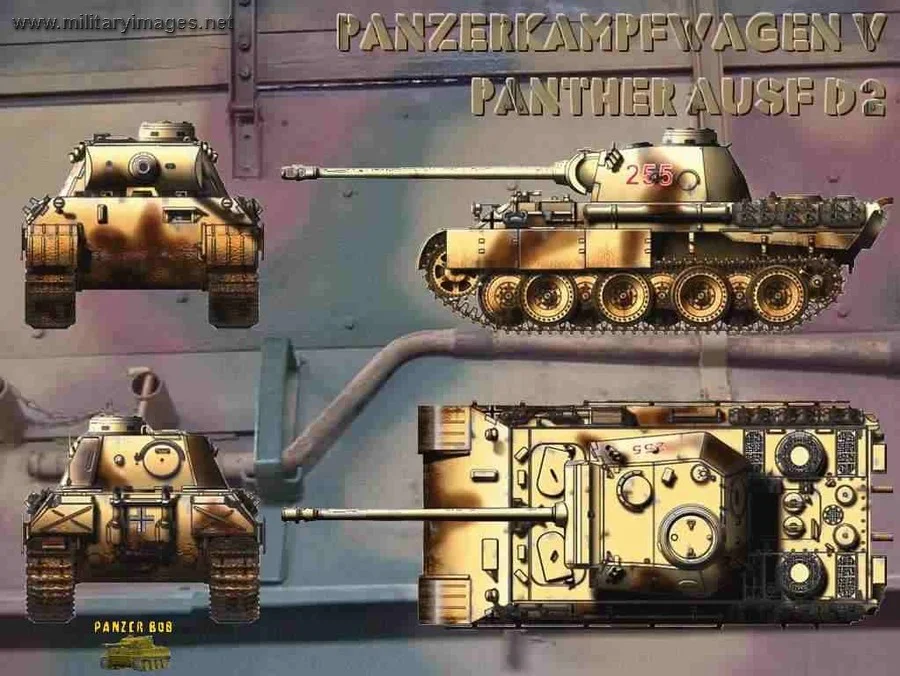 Panther_Ausf_D2_255