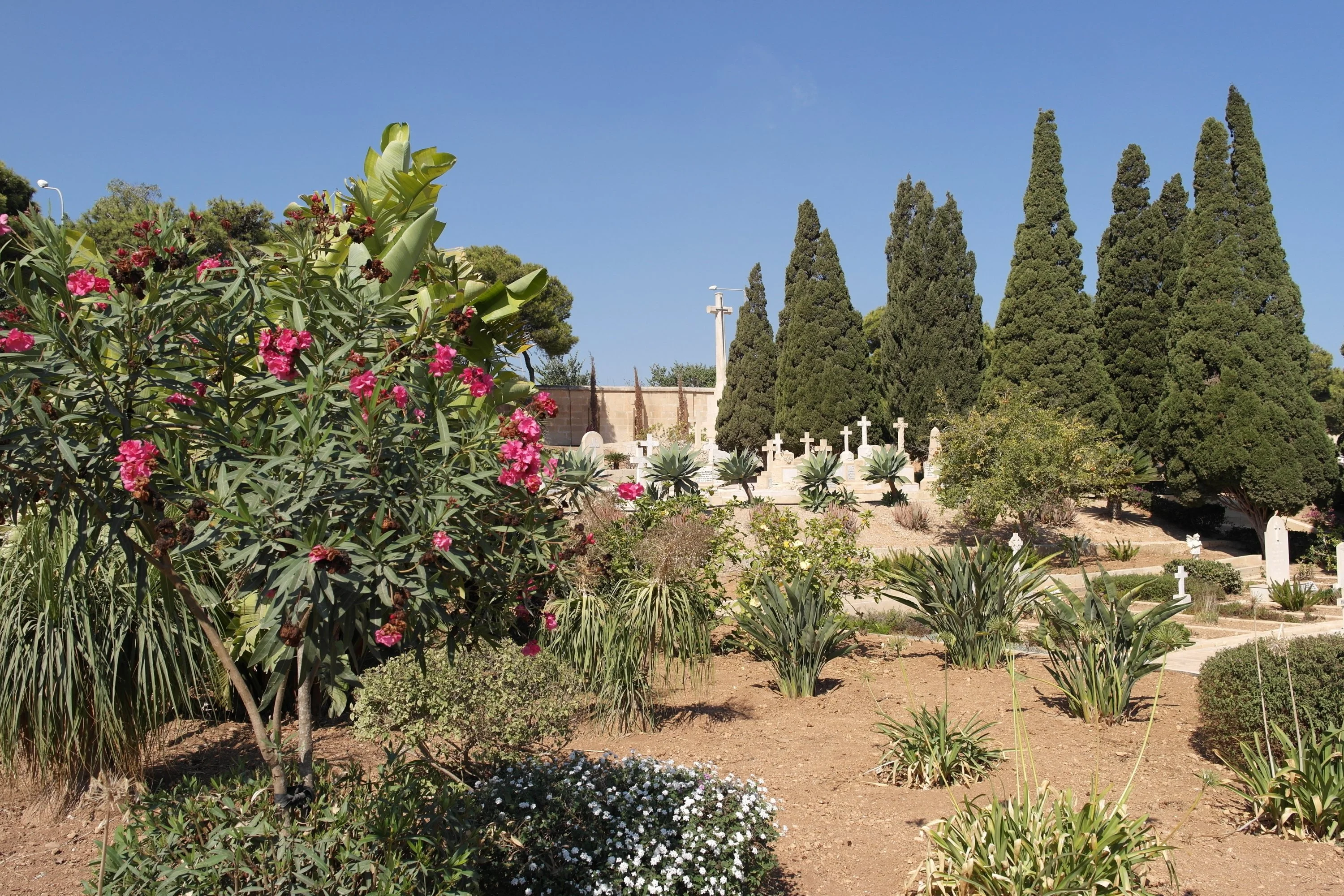 Pembroke Military Cemetery Malta