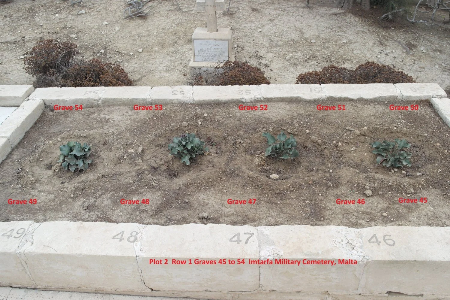 Plot 2.Row1 Back row Graves 50 to 54.  Front row Grave 45 to 49