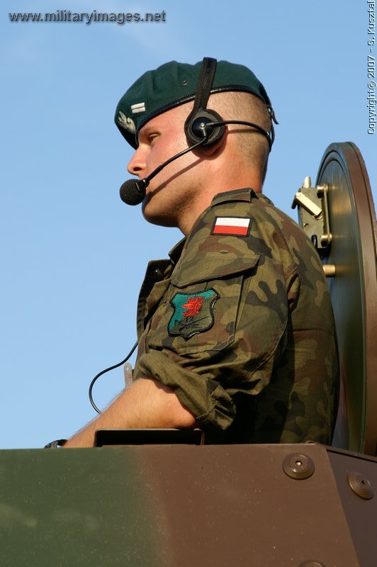 Polish Army Day
