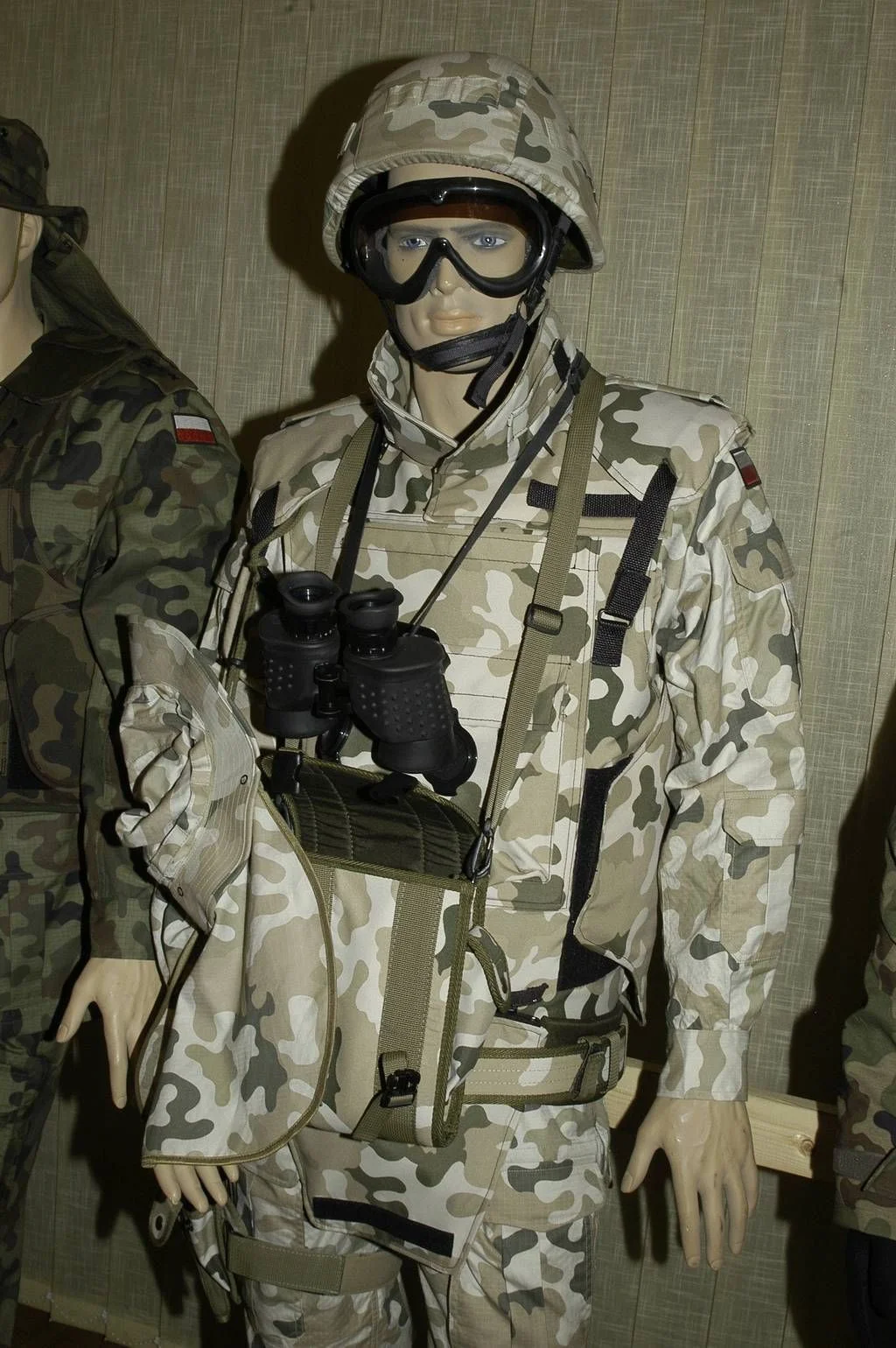 Polish Uniform