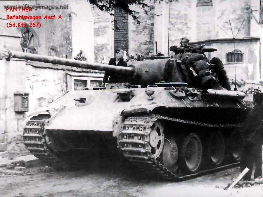 pz5a0014