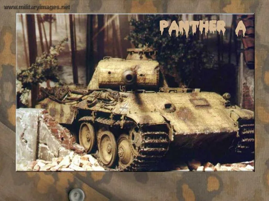 pz5a0070