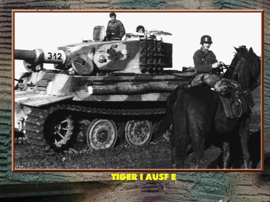 pz6_late_tiger_312_sPzAbt_505