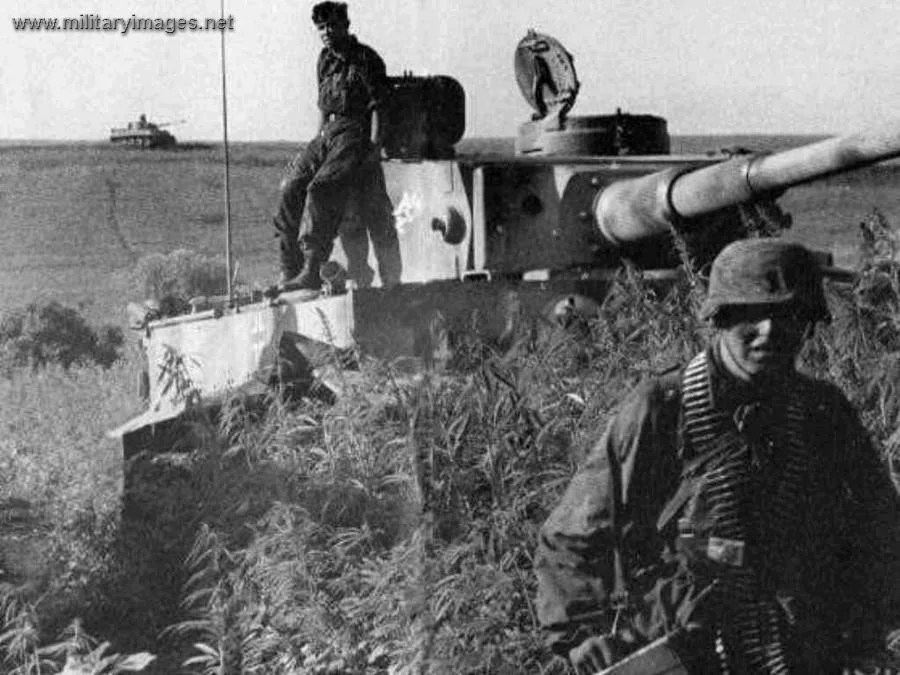 pz6_Tiger_early_production_Kursk | A Military Photos & Video Website