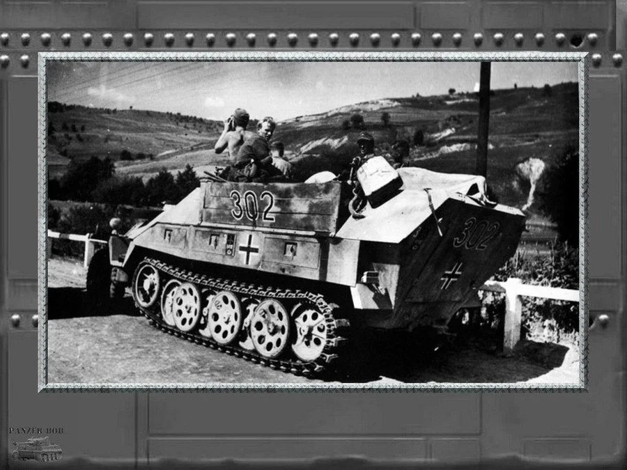 pzht_Pioneers_version_of_the_251_sdkfz251_7_wo_bridge