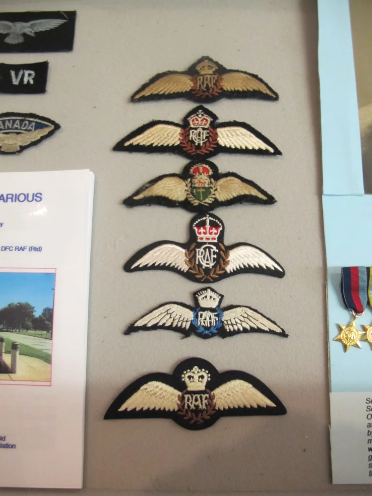 RAF wings and insignia