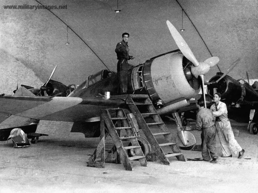 Reggiane Re.2000 Falco