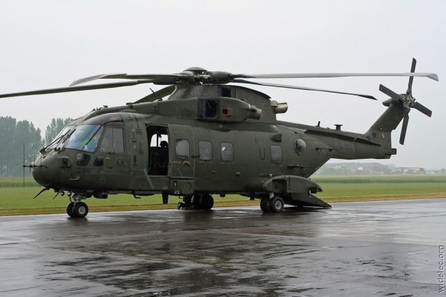 rotary wing