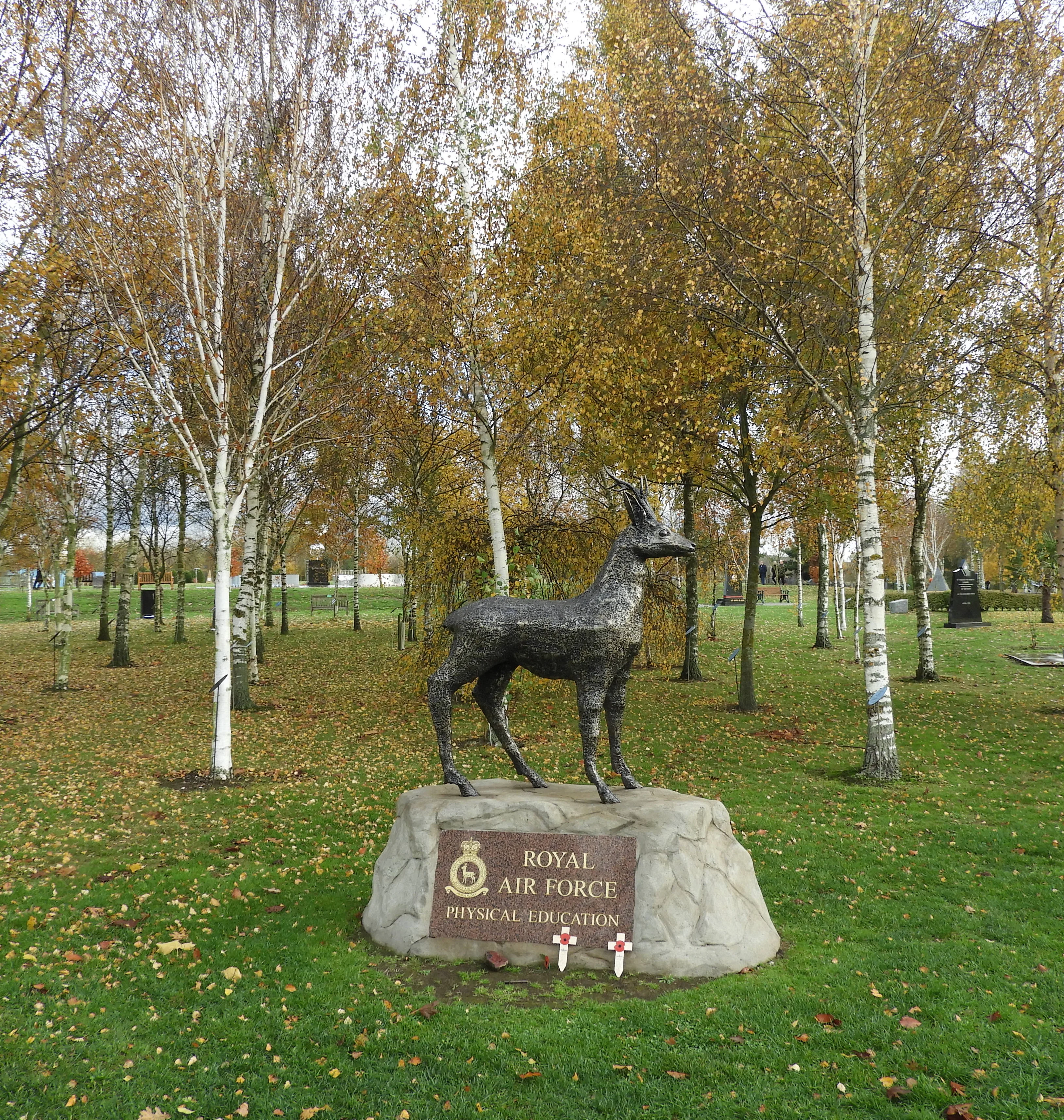 Royal Air Force (Physical Education) Memorial